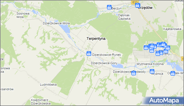 mapa Dzierzkowice-Rynek, Dzierzkowice-Rynek na mapie Targeo