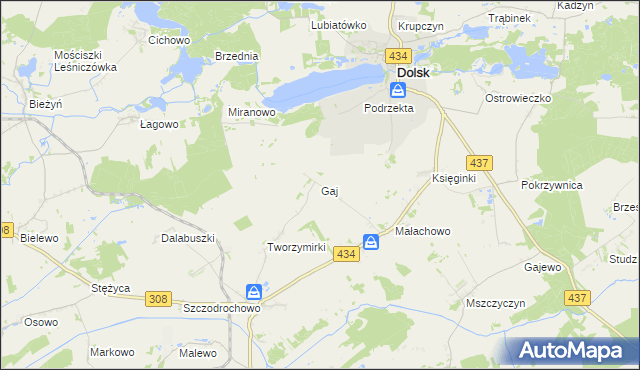 mapa Gaj gmina Gostyń, Gaj gmina Gostyń na mapie Targeo