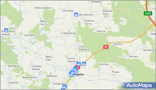 mapa Gola Wąsoska, Gola Wąsoska na mapie Targeo