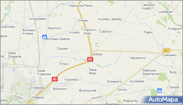 mapa Goślice, Goślice na mapie Targeo