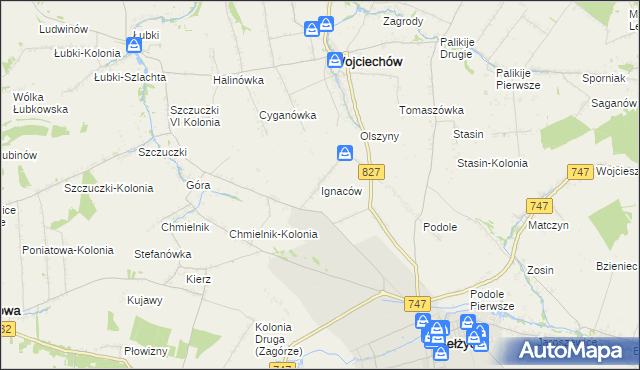 mapa Ignaców gmina Wojciechów, Ignaców gmina Wojciechów na mapie Targeo
