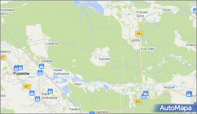 mapa Kaniów gmina Popielów, Kaniów gmina Popielów na mapie Targeo