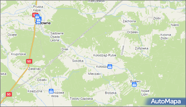 mapa Kołodziąż-Rybie, Kołodziąż-Rybie na mapie Targeo