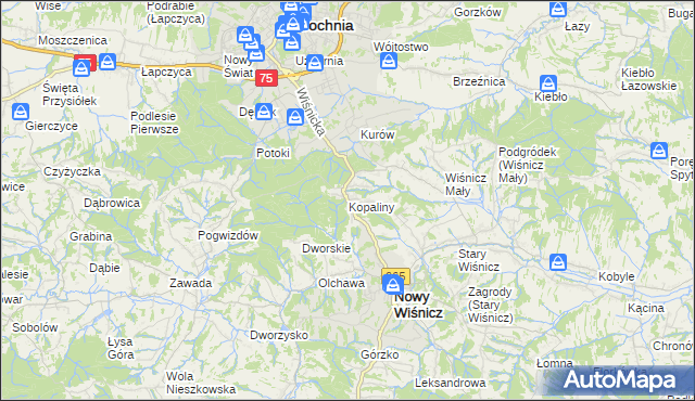 mapa Kopaliny gmina Nowy Wiśnicz, Kopaliny gmina Nowy Wiśnicz na mapie Targeo