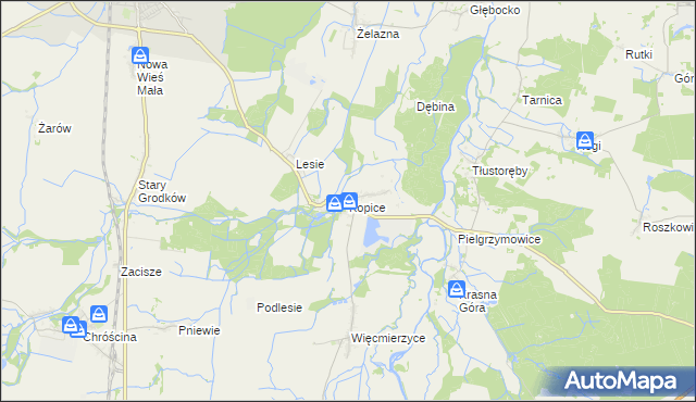 mapa Kopice gmina Grodków, Kopice gmina Grodków na mapie Targeo