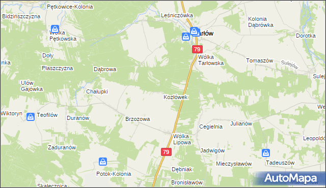 mapa Kozłówek gmina Tarłów, Kozłówek gmina Tarłów na mapie Targeo