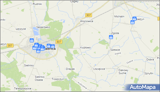 mapa Kozłowo gmina Opalenica, Kozłowo gmina Opalenica na mapie Targeo