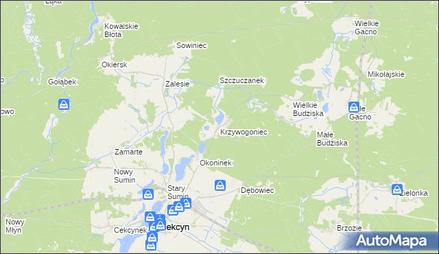 mapa Krzywogoniec, Krzywogoniec na mapie Targeo