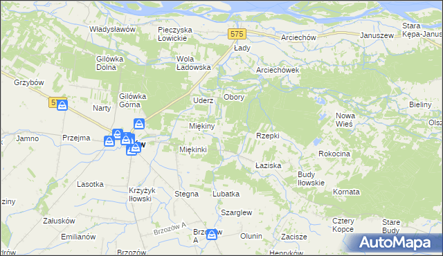 mapa Leśniaki gmina Iłów, Leśniaki gmina Iłów na mapie Targeo