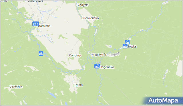 mapa Międzybór, Międzybór na mapie Targeo