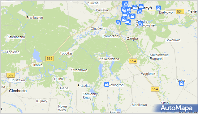 mapa Paliwodzizna, Paliwodzizna na mapie Targeo