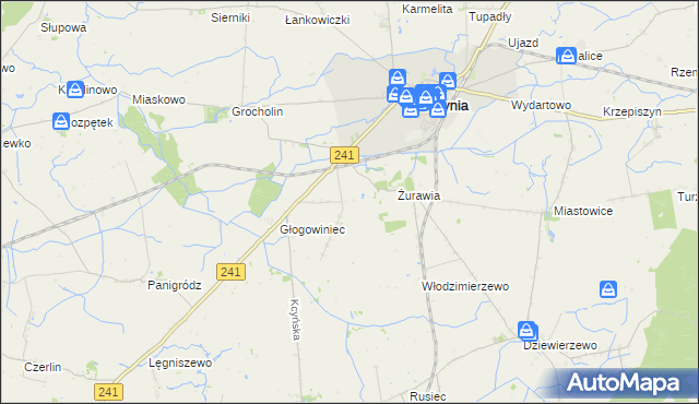 mapa Palmierowo, Palmierowo na mapie Targeo