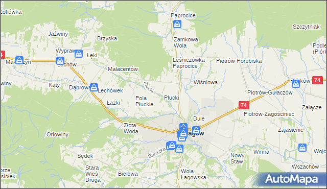 mapa Płucki, Płucki na mapie Targeo