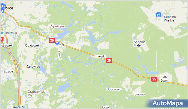 mapa Pniewki, Pniewki na mapie Targeo