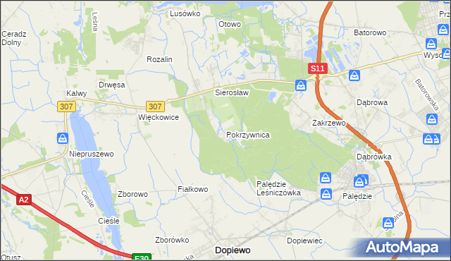 mapa Pokrzywnica gmina Dopiewo, Pokrzywnica gmina Dopiewo na mapie Targeo