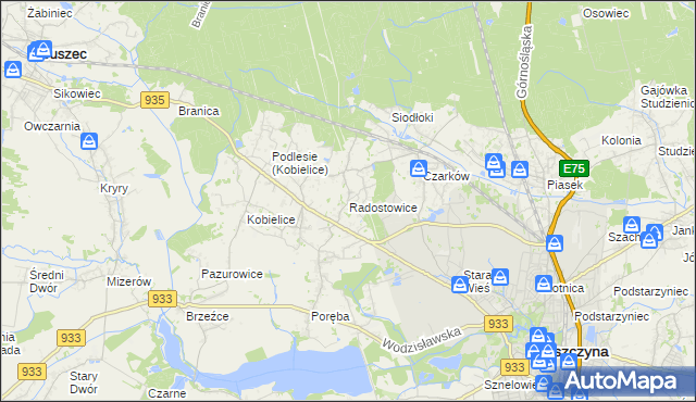mapa Radostowice, Radostowice na mapie Targeo