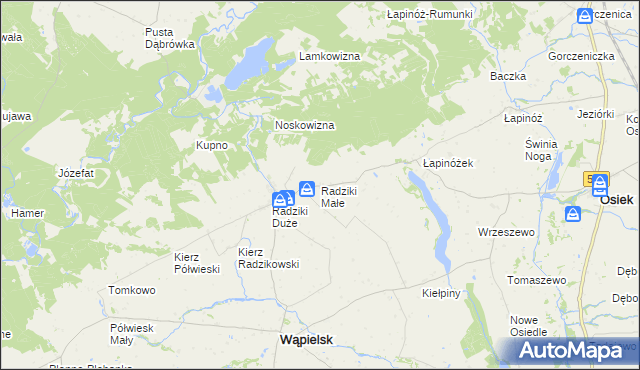 mapa Radziki Małe, Radziki Małe na mapie Targeo
