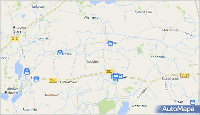 mapa Rakowo gmina Damasławek, Rakowo gmina Damasławek na mapie Targeo