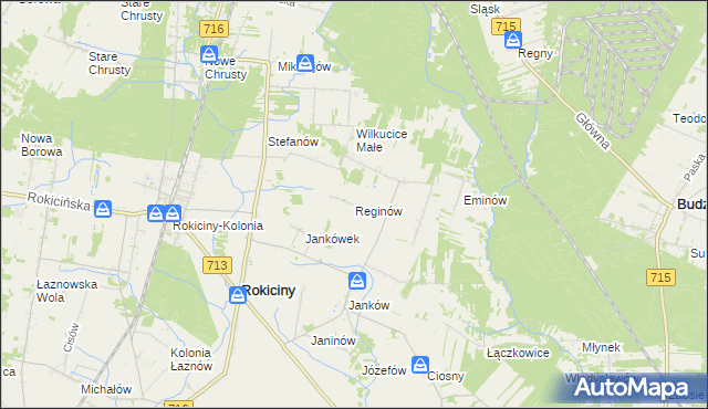 mapa Reginów, Reginów na mapie Targeo