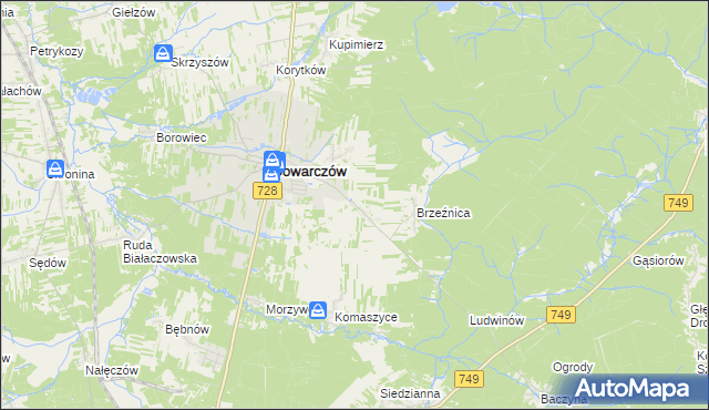 mapa Rogówek gmina Gowarczów, Rogówek gmina Gowarczów na mapie Targeo