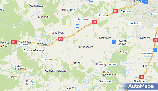 mapa Rykaczewo gmina Ciechanów, Rykaczewo gmina Ciechanów na mapie Targeo