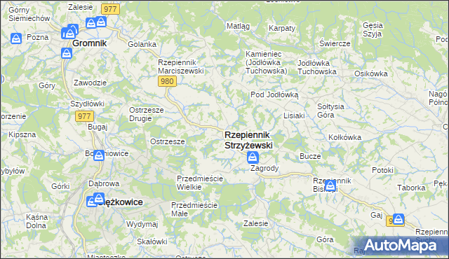 mapa Rzepiennik Strzyżewski, Rzepiennik Strzyżewski na mapie Targeo