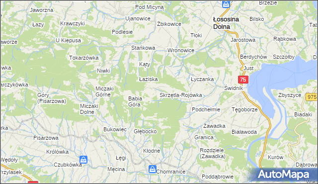 mapa Skrzętla-Rojówka, Skrzętla-Rojówka na mapie Targeo