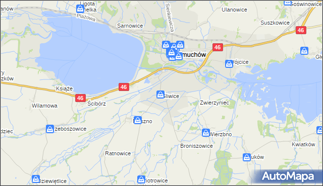 mapa Śliwice gmina Otmuchów, Śliwice gmina Otmuchów na mapie Targeo