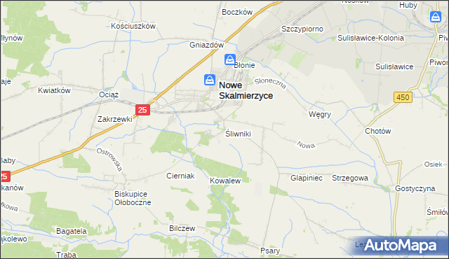mapa Śliwniki gmina Nowe Skalmierzyce, Śliwniki gmina Nowe Skalmierzyce na mapie Targeo
