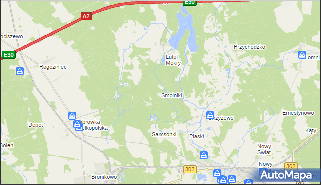 mapa Smolniki gmina Trzciel, Smolniki gmina Trzciel na mapie Targeo