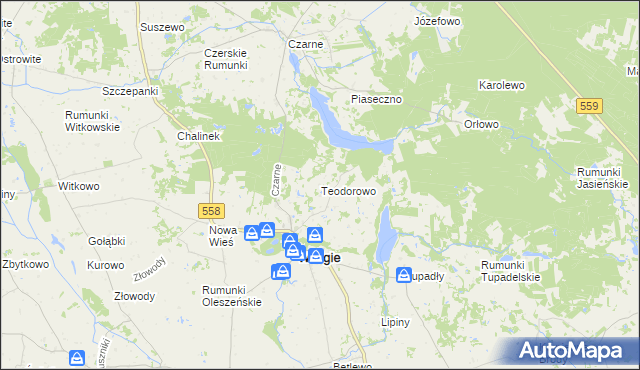 mapa Teodorowo gmina Wielgie, Teodorowo gmina Wielgie na mapie Targeo