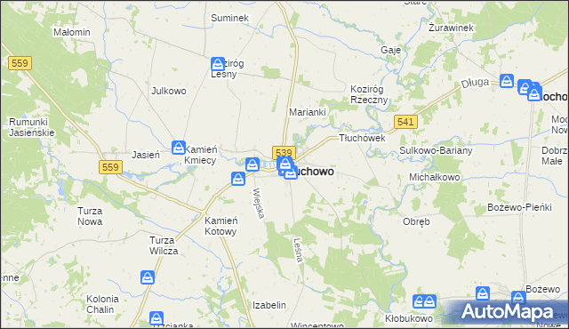 mapa Tłuchowo, Tłuchowo na mapie Targeo
