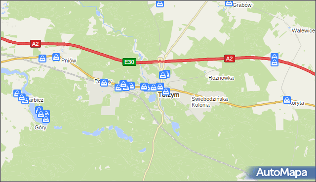 mapa Torzym, Torzym na mapie Targeo