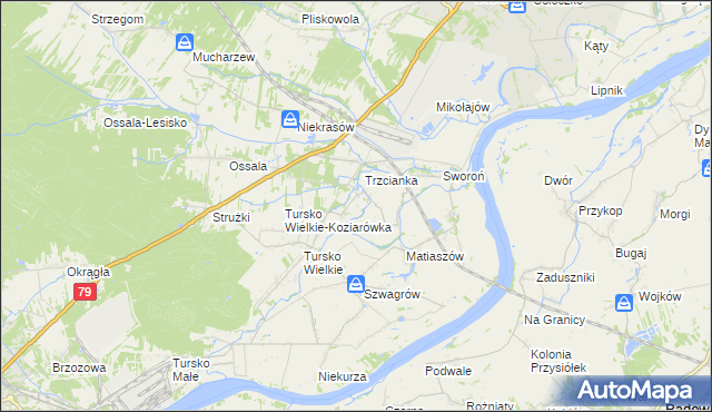 mapa Trzcianka-Kolonia gmina Osiek, Trzcianka-Kolonia gmina Osiek na mapie Targeo