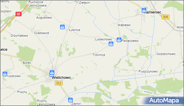 mapa Trzcinica gmina Wielichowo, Trzcinica gmina Wielichowo na mapie Targeo