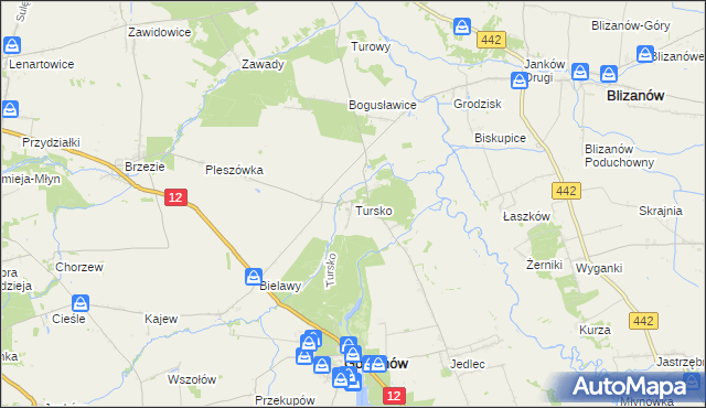 mapa Tursko gmina Gołuchów, Tursko gmina Gołuchów na mapie Targeo