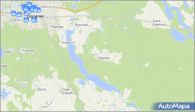 mapa Wąsosz gmina Złocieniec, Wąsosz gmina Złocieniec na mapie Targeo