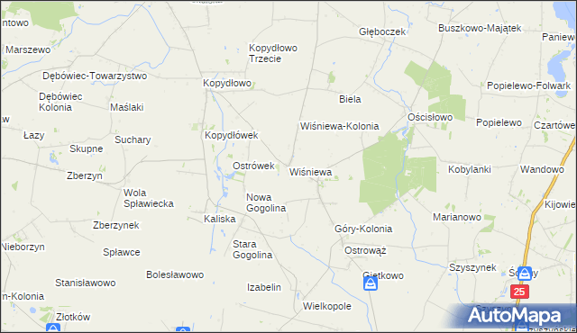 mapa Wiśniewa gmina Wilczyn, Wiśniewa gmina Wilczyn na mapie Targeo