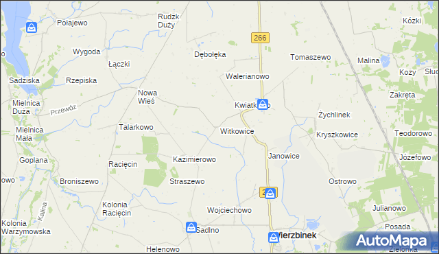 mapa Witkowice gmina Wierzbinek, Witkowice gmina Wierzbinek na mapie Targeo