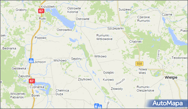mapa Witkowo gmina Wielgie, Witkowo gmina Wielgie na mapie Targeo