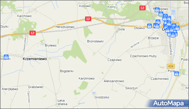 mapa Witoldowo gmina Gostyń, Witoldowo gmina Gostyń na mapie Targeo