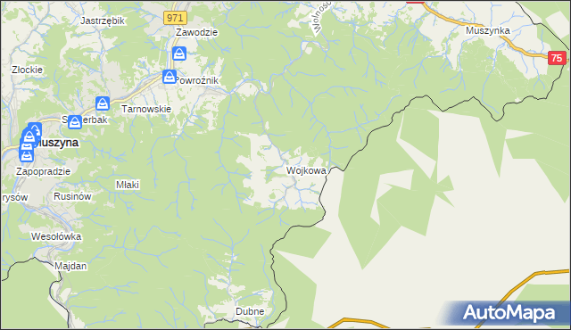 mapa Wojkowa, Wojkowa na mapie Targeo