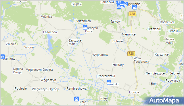mapa Wygnanów gmina Małogoszcz, Wygnanów gmina Małogoszcz na mapie Targeo