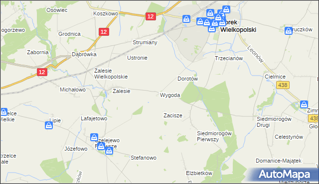 mapa Wygoda gmina Borek Wielkopolski, Wygoda gmina Borek Wielkopolski na mapie Targeo