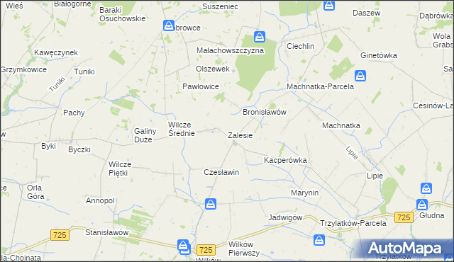 mapa Zalesie gmina Błędów, Zalesie gmina Błędów na mapie Targeo