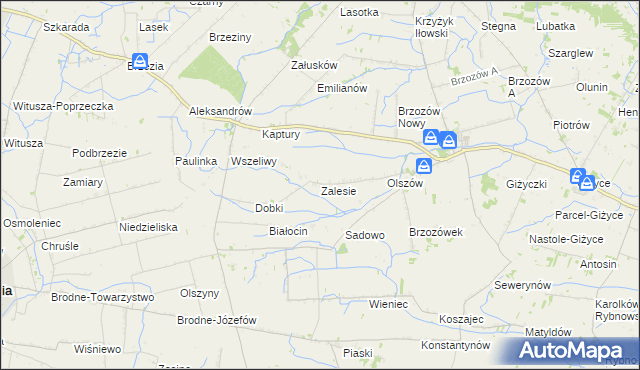 mapa Zalesie gmina Iłów, Zalesie gmina Iłów na mapie Targeo
