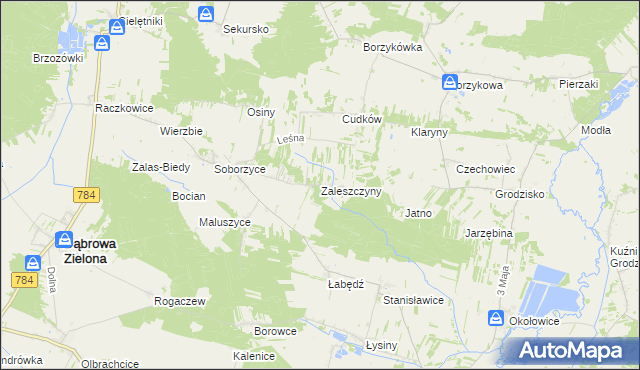mapa Zaleszczyny gmina Dąbrowa Zielona, Zaleszczyny gmina Dąbrowa Zielona na mapie Targeo