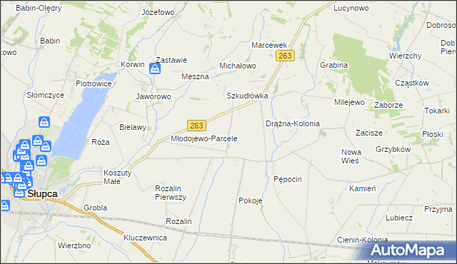 mapa Żelazków gmina Słupca, Żelazków gmina Słupca na mapie Targeo