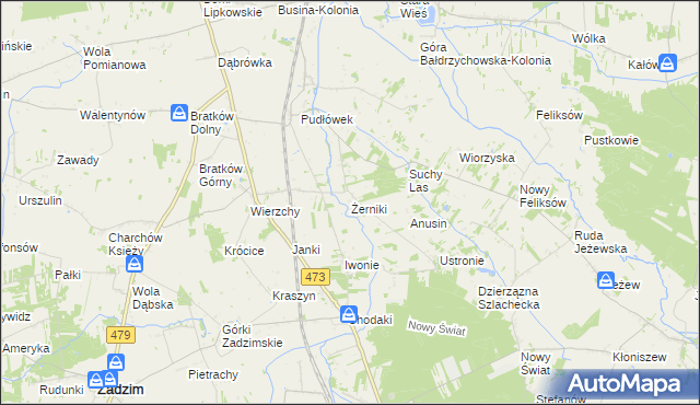 mapa Żerniki gmina Zadzim, Żerniki gmina Zadzim na mapie Targeo