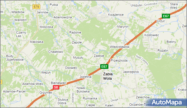 mapa Zalesie gmina Żabia Wola, Zalesie gmina Żabia Wola na mapie Targeo